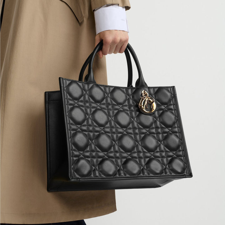 Sac Dior Book Tote Medium