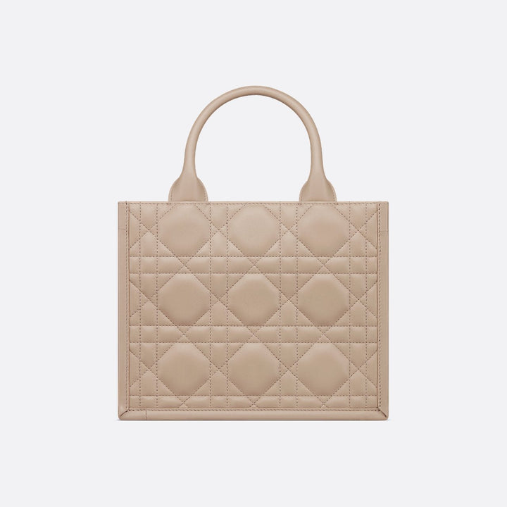 Sac Dior Book Tote Small