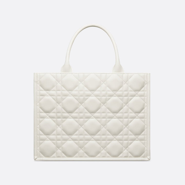 Sac Dior Book Tote Medium