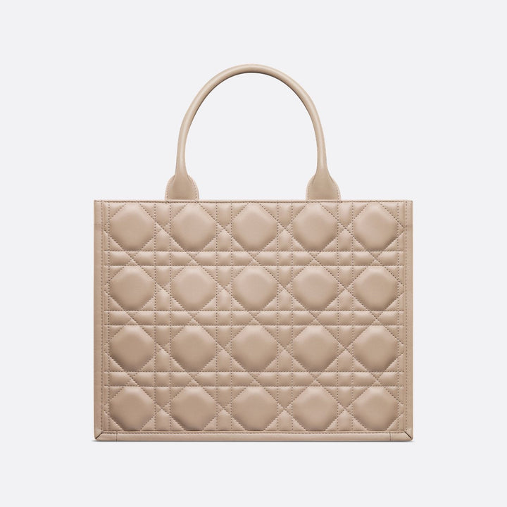 Sac Dior Book Tote Medium