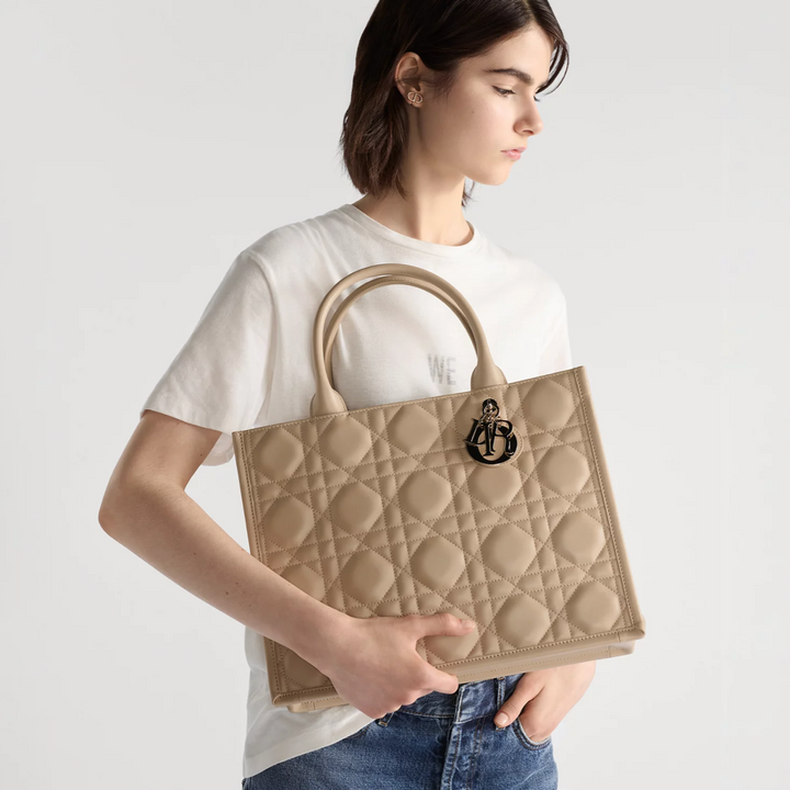 Sac Dior Book Tote Medium