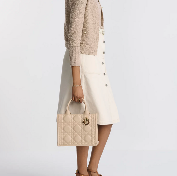 Sac Dior Book Tote Small