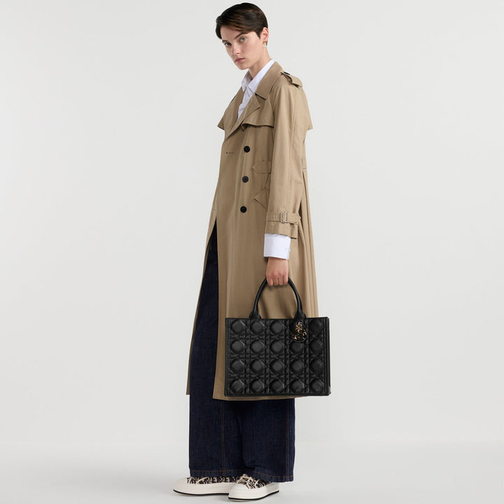 Sac Dior Book Tote Medium